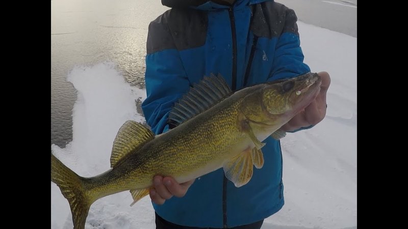 Ice fishing game - Experience the Thrill of Ice Fishing Live at UK's Top Casinos Online Ice fishing game - Experience the Thrill of Ice Fishing Live at UK's Top Casinos Online